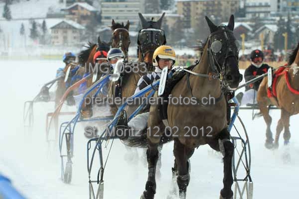 IMG 0583 prot