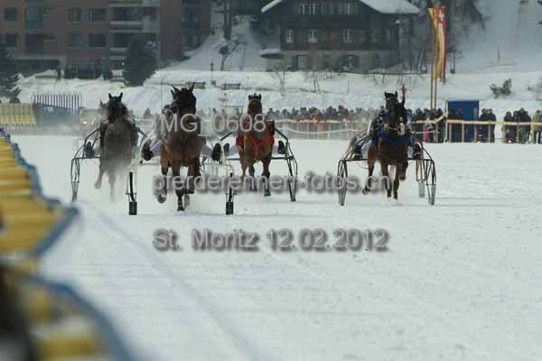IMG 0608 prot