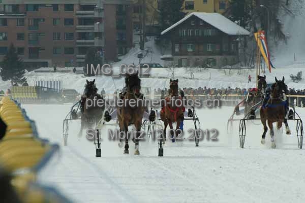 IMG 0612 prot