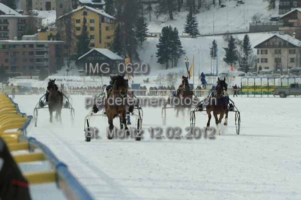 IMG 0620 prot
