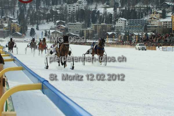 IMG 0629 prot