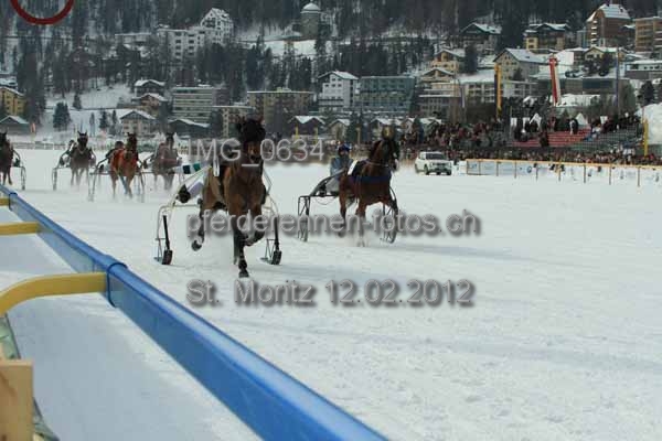 IMG 0634 prot