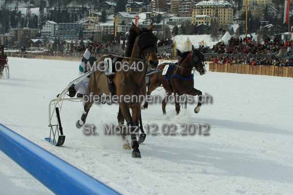 IMG 0640 prot