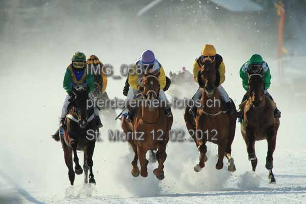 IMG 0687 prot