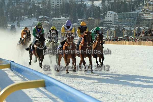 IMG 0704 prot