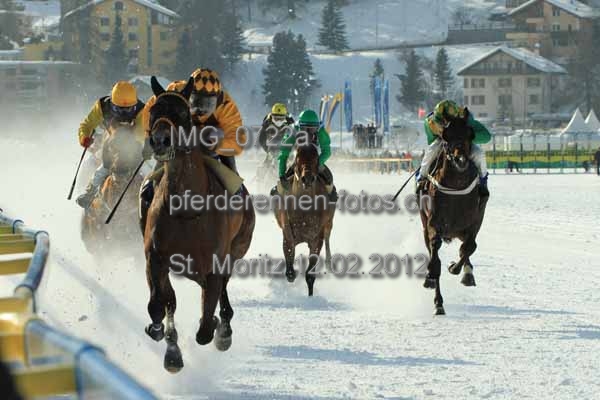 IMG 0722a prot