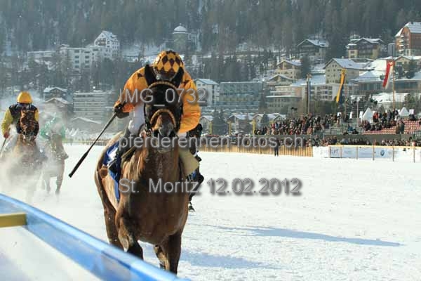 IMG 0732 prot
