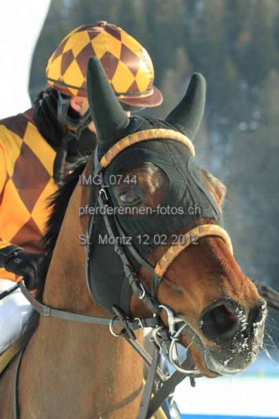 IMG 0744 prot