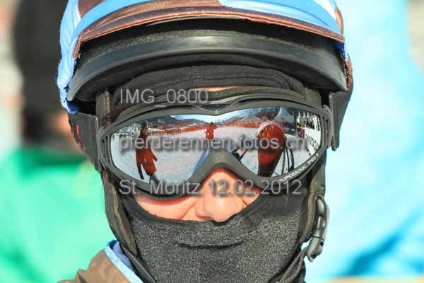 IMG 0800 prot