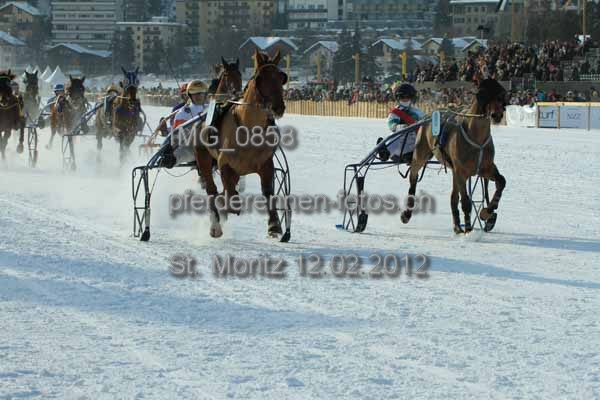 IMG 0858 prot