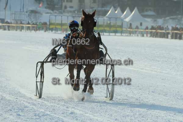IMG 0862 prot