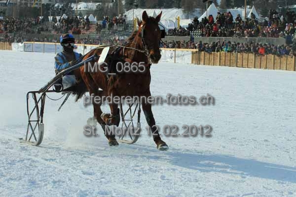 IMG 0865 prot