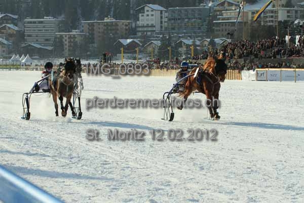 IMG 0893 prot