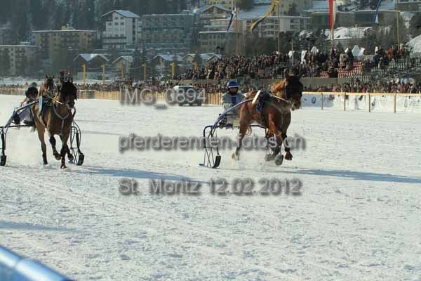 IMG 0894 prot