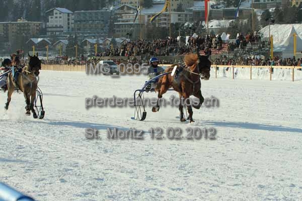 IMG 0895 prot