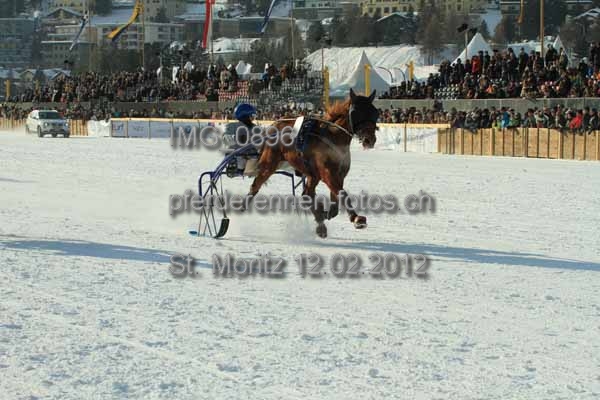 IMG 0896 prot