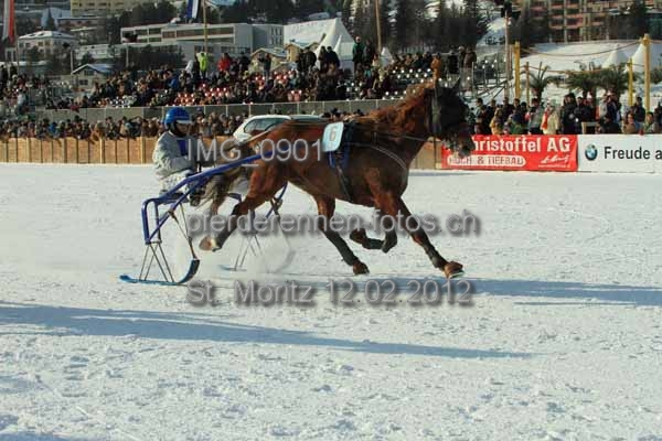 IMG 0901 prot