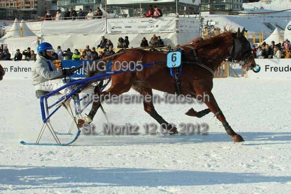 IMG 0905 prot