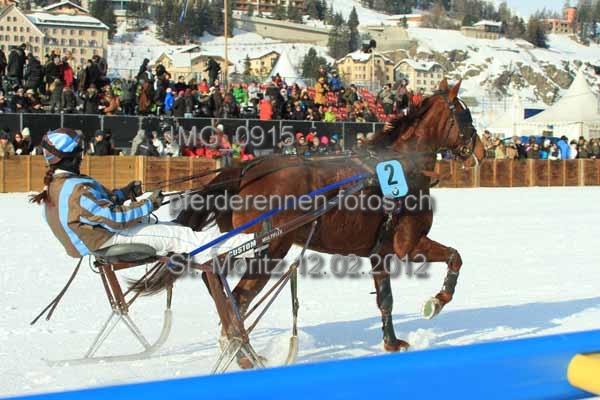 IMG 0915 prot