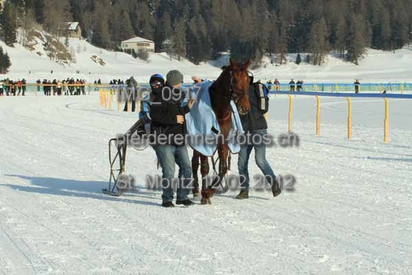 IMG 0917 prot