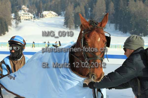 IMG 0919 prot