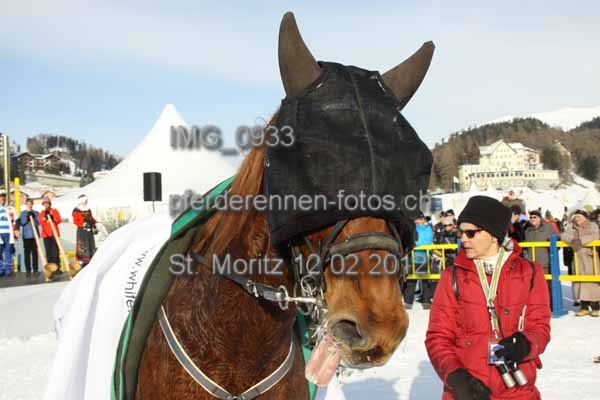 IMG 0933 prot