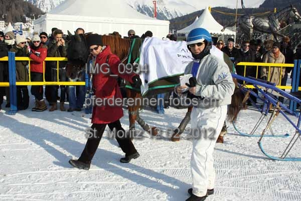 IMG 0934 prot