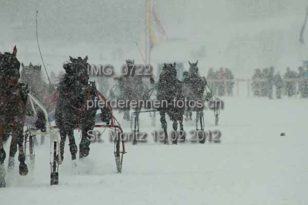 IMG 0722 prot